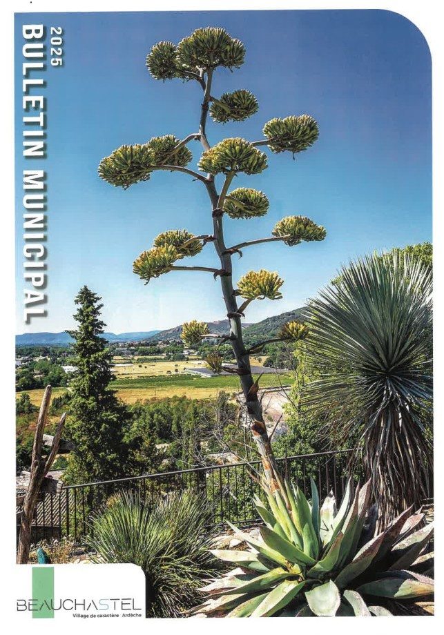 Bulletin municipal 2025